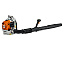 STIHL BR 200