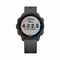 умные Часы Garmin Forerunner 245 черные с серым ремешком